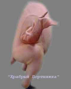 Ростовая фигура Тушка курицы